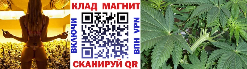 Виды наркотиков купить Протвино Codein Канабис Меф мяу мяу Гашиш Alpha-PVP Метамфетамин