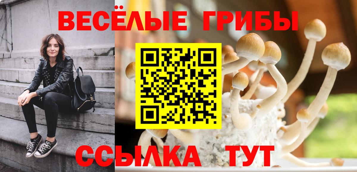 Протвино  Псилоцибиновые грибы GOLDEN TEACHER  Вход с VPN 