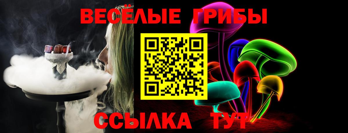 Галлюциногенные грибы MAGIC MUSHROOMS Протвино